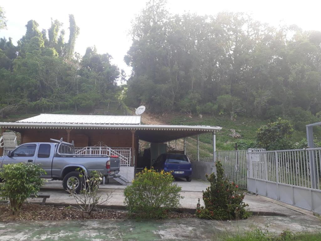 La Belle Creole photo 1
