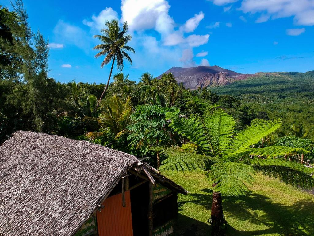 Castle Tree House And Bungalow photo 1