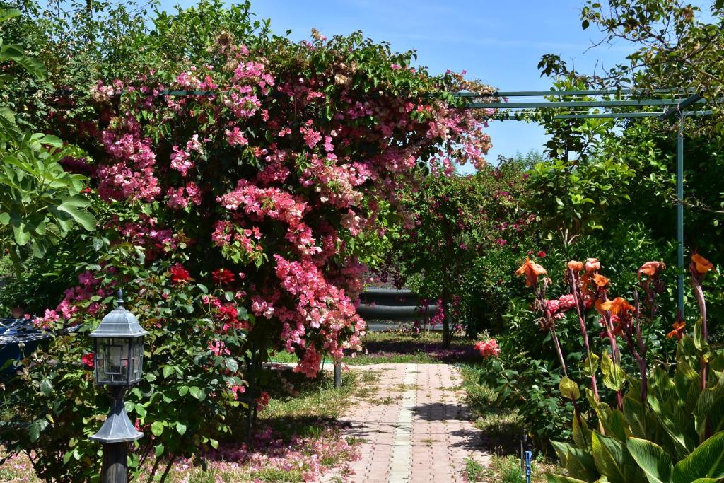 Lemon Garden Lodge photo 3