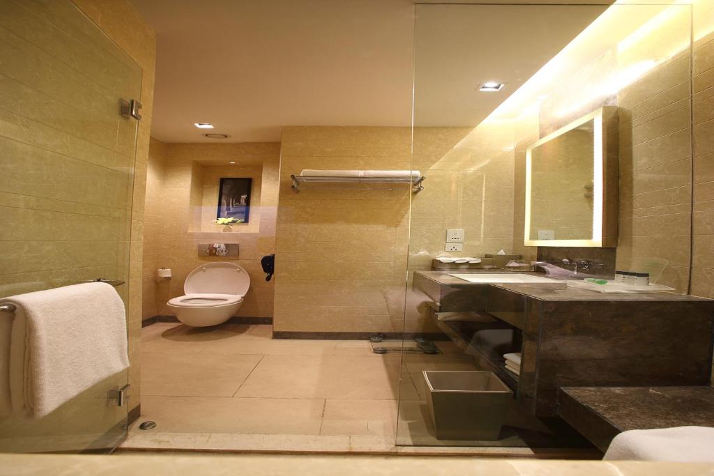 Двухместный (Executive Room with 06 Pints of Beer, Early Check-In and Late Check-Out subject to the availability), Holiday Inn New Delhi Mayur Vihar Noida