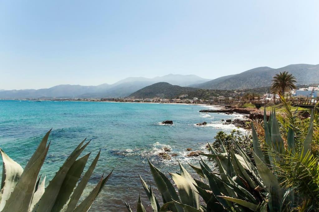 Villa Asterias photo 4