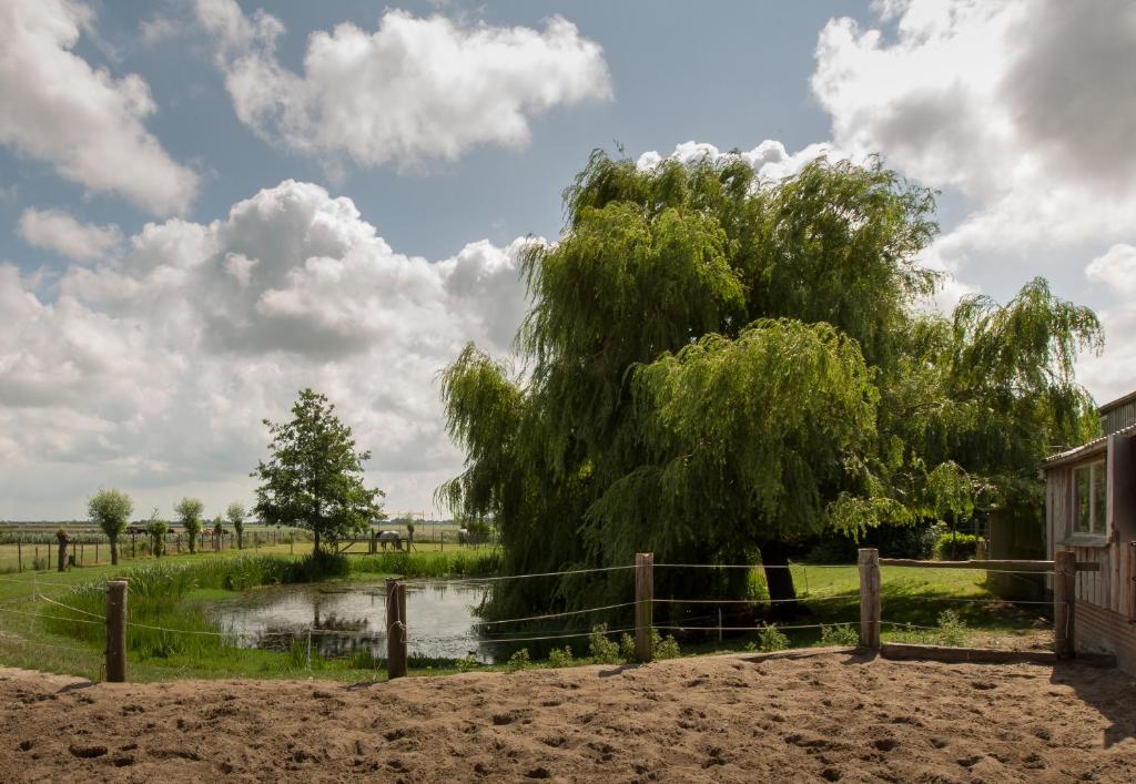 Minicamping Aan de Waterspiegel photo 4