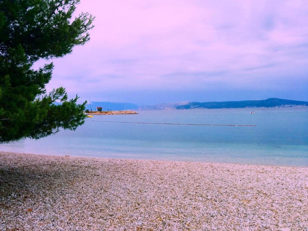 Hotel Abalone photo 3