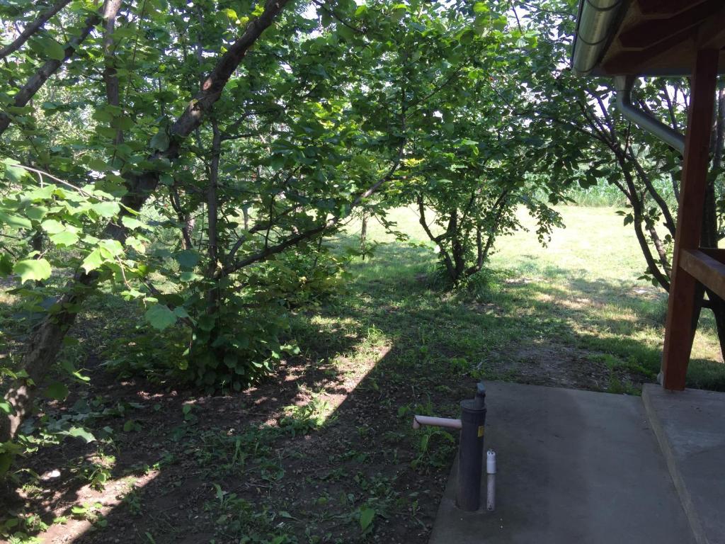 Prle Apartment photo 1