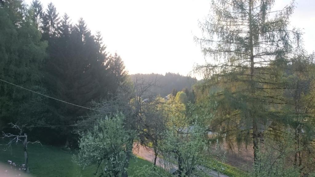 Haus Maria photo 4