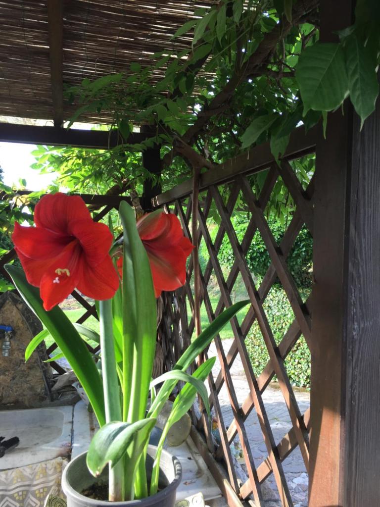 Il Ghiro B&B photo 3