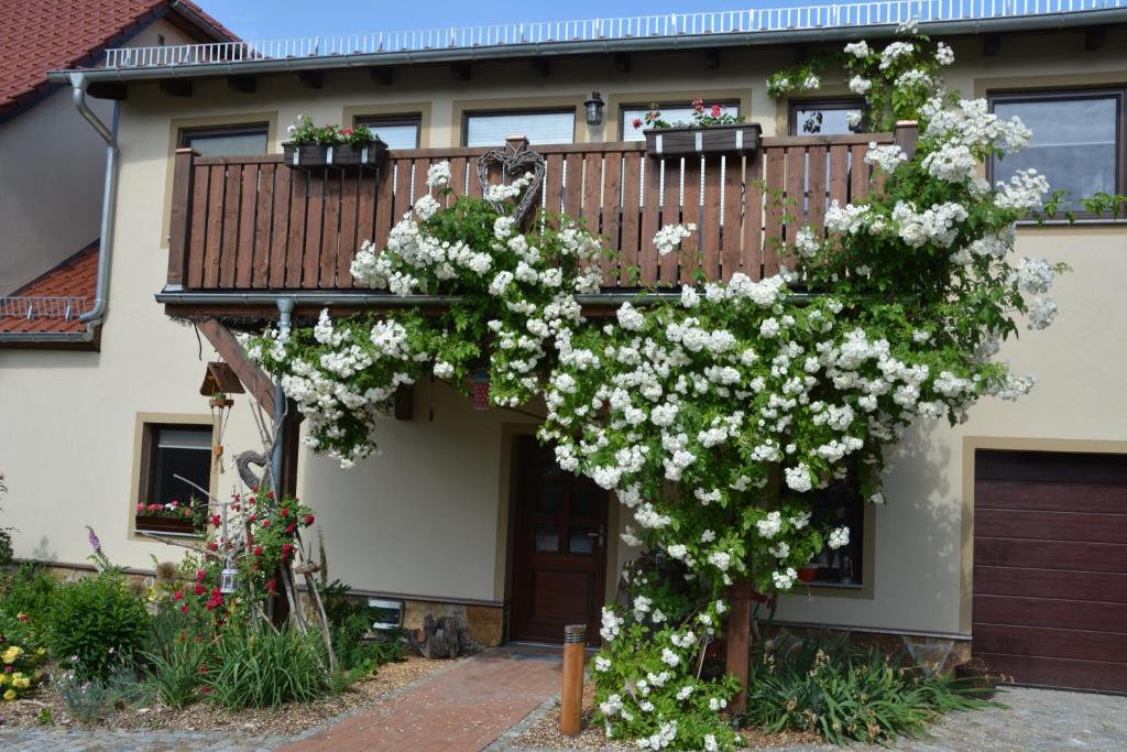 Ferienappartements "Landromantik" photo 4