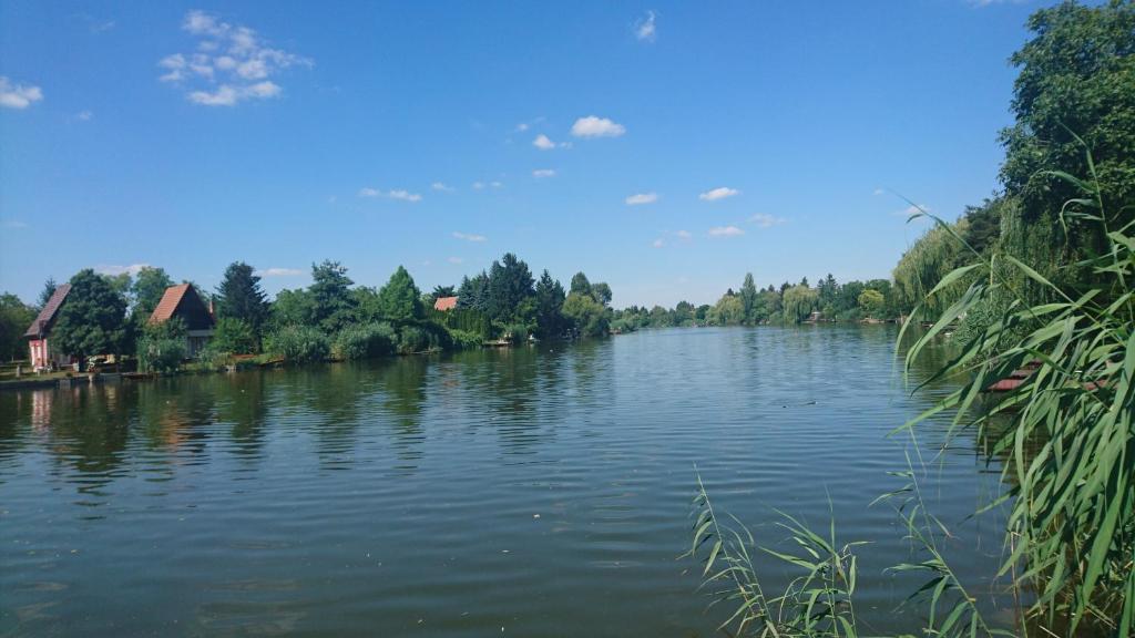 Tobak vendégház photo 3