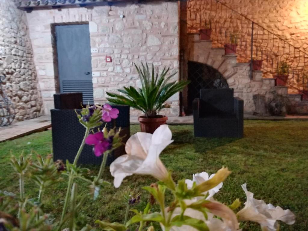 Il Casale Di Ginetto photo 4