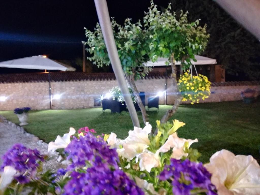 Il Casale Di Ginetto photo 3