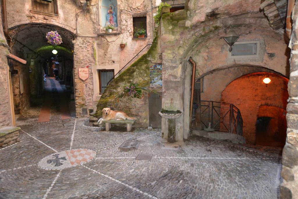 La Casetta di Vale photo 3