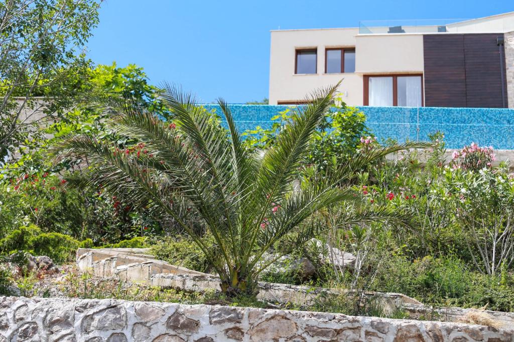 Villa Semiramis photo 4