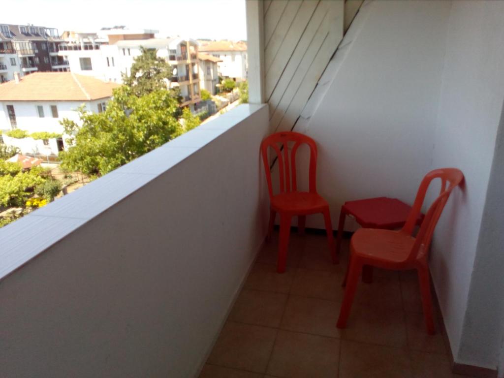 Apartments Ivelin photo 4