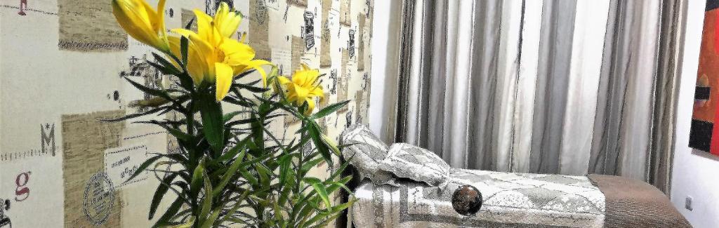 Mello's House photo 1