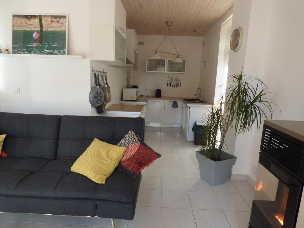 La Maison du Palus photo 3