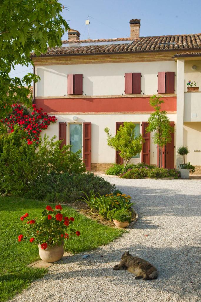 B&B Campodisole photo 3
