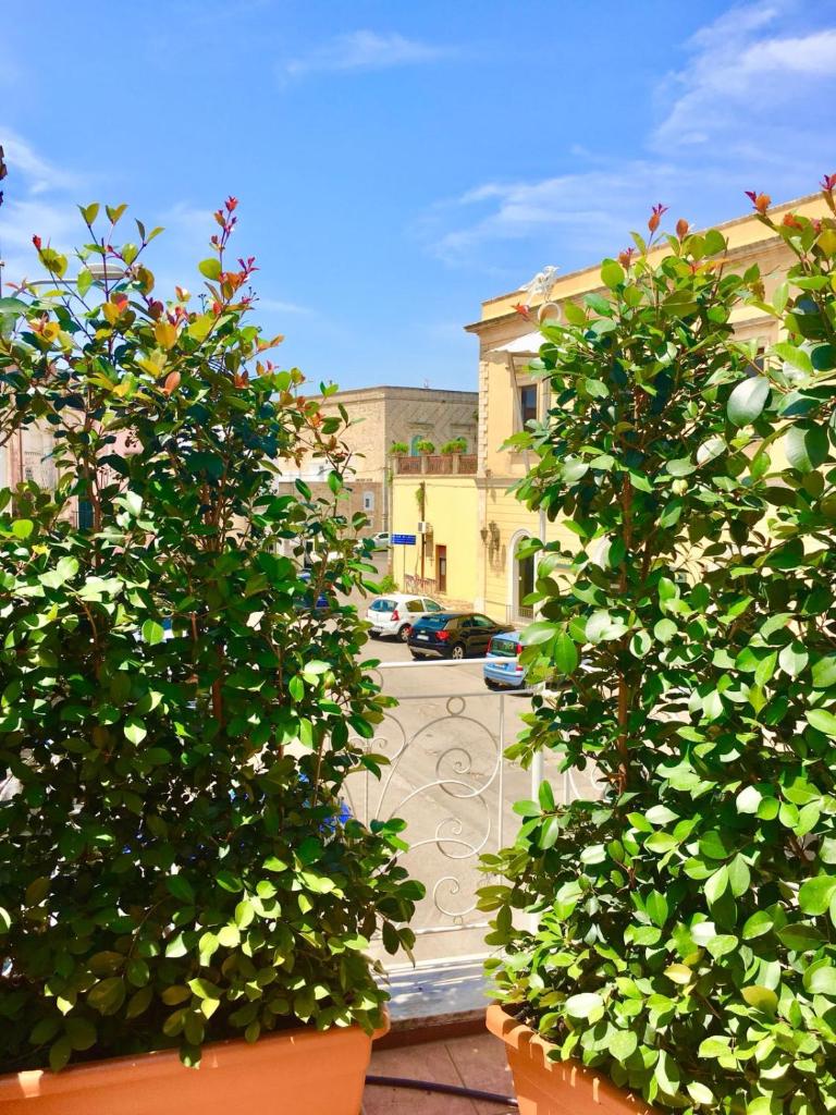 B&B L'Assunta photo 4
