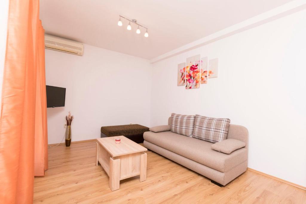 Apartment Petea photo 4