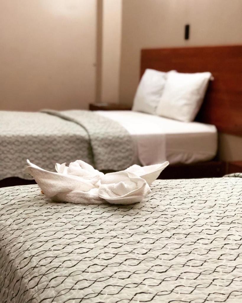 Hotel Selva Dorada photo 3