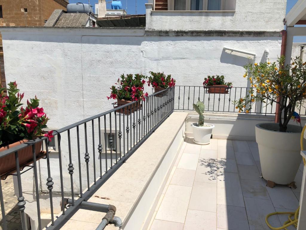Palazzotto "Fasano Antica" photo 3