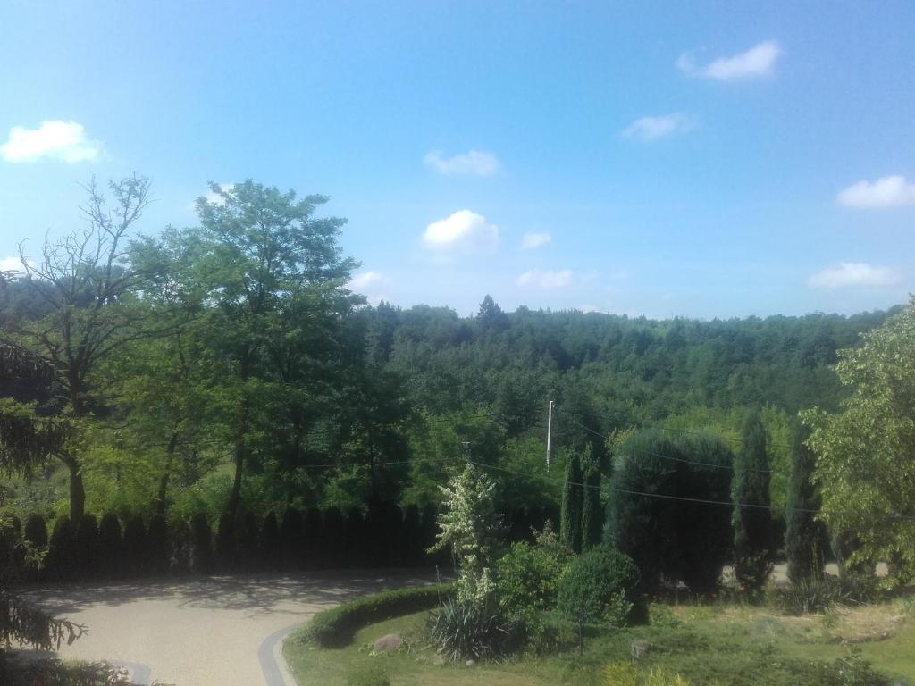 Dom w Zielonej Dolinie photo 2