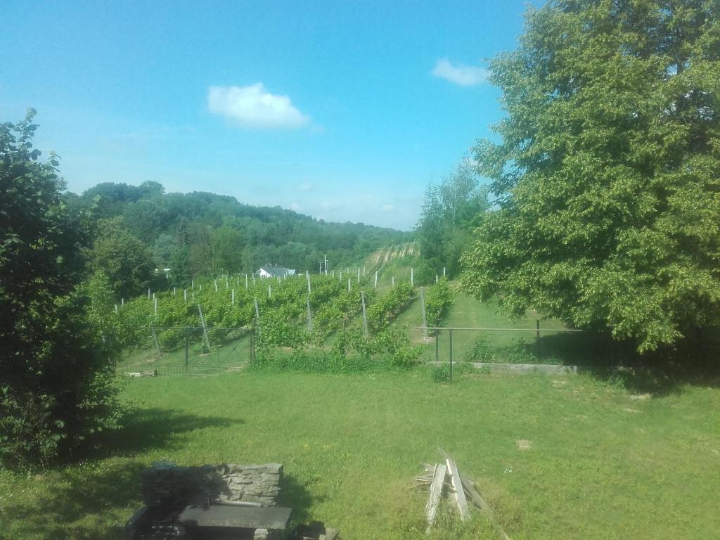 Dom w Zielonej Dolinie photo 3