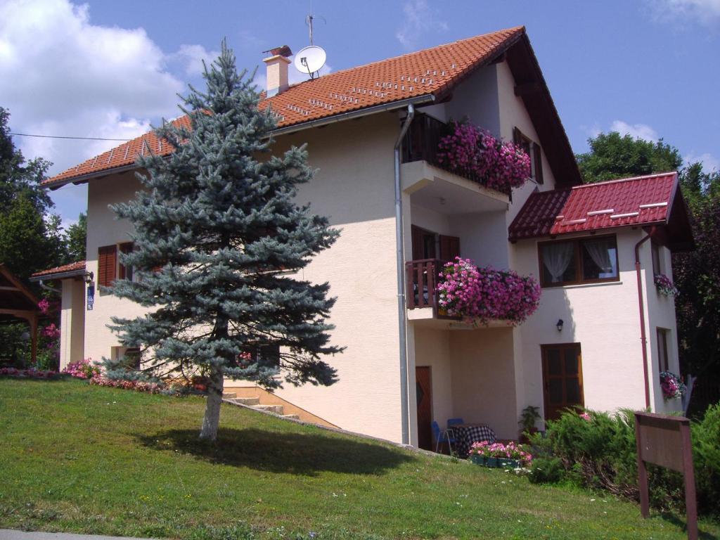 Guesthouse Hodak photo 2