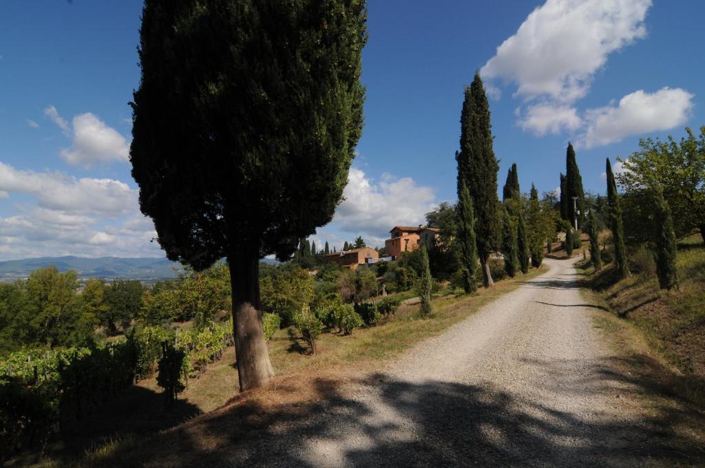 Podere Capitignano photo 3