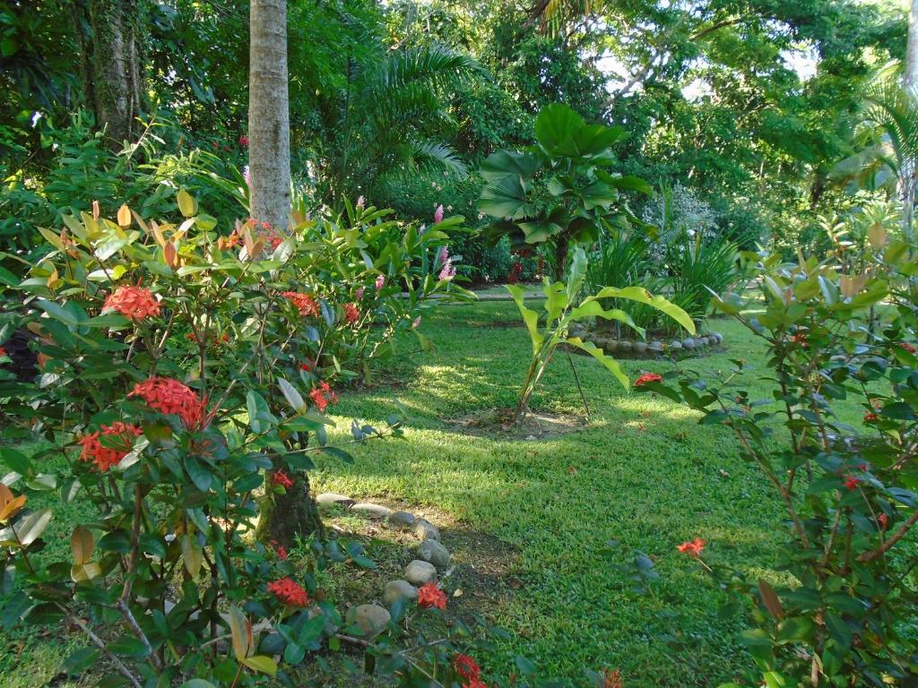 J and H Garden Cabinas photo 4