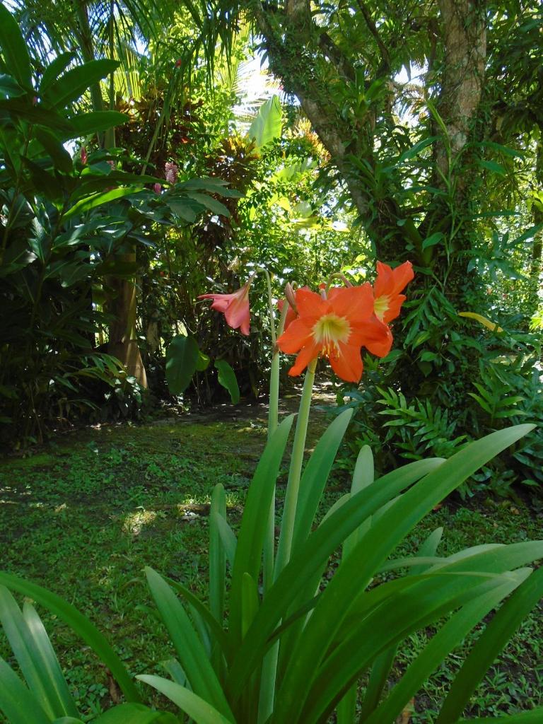 J and H Garden Cabinas photo 3
