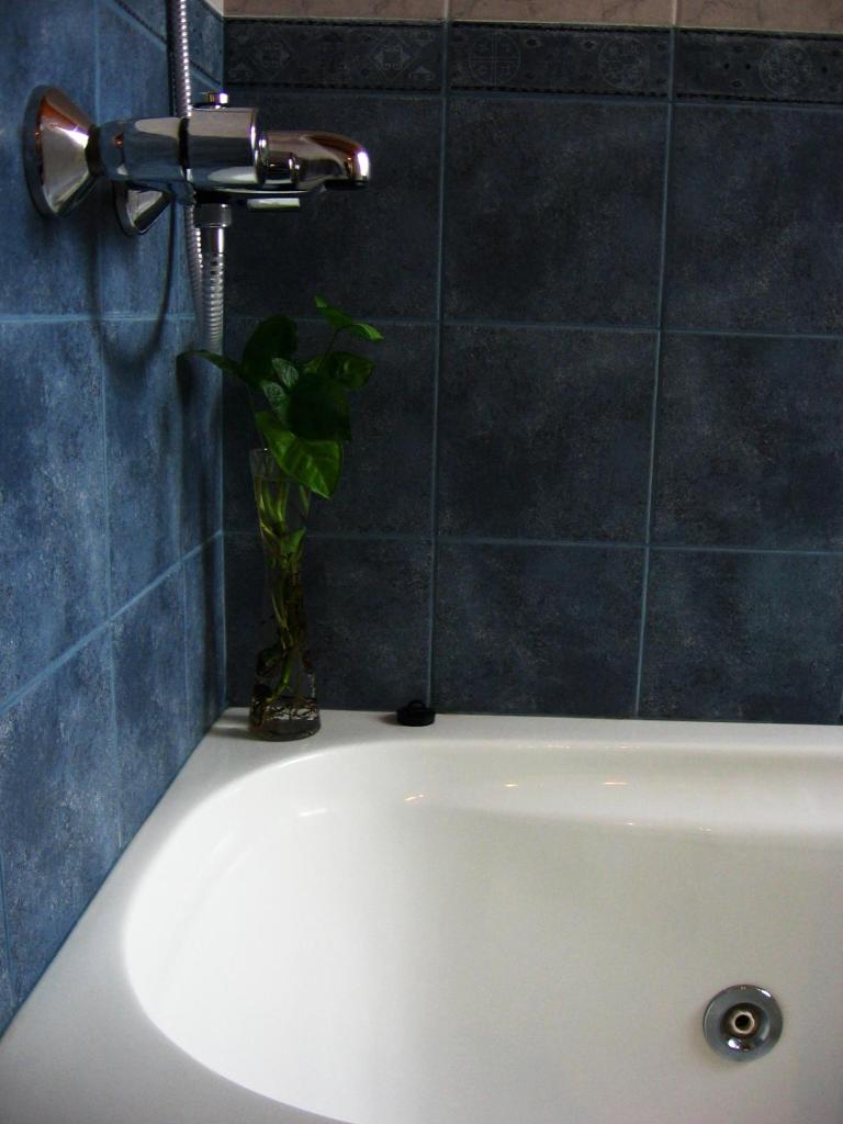 Carpe Diem Cabañas & Suites photo 4