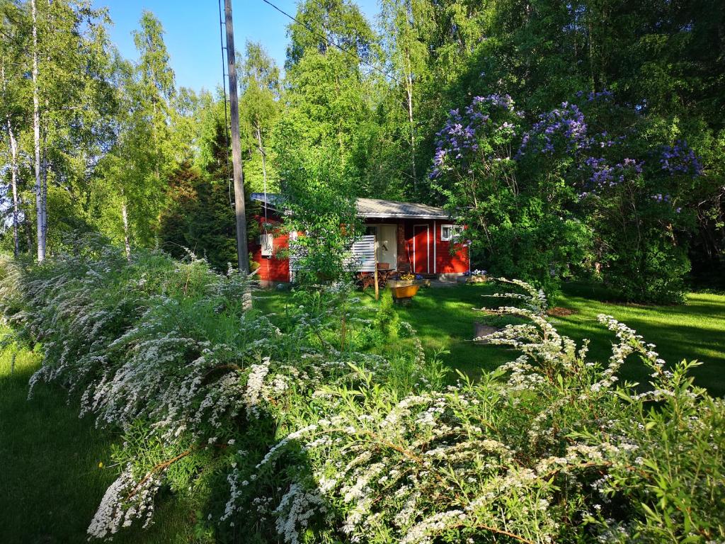 Koivuniemi Cottage photo 4