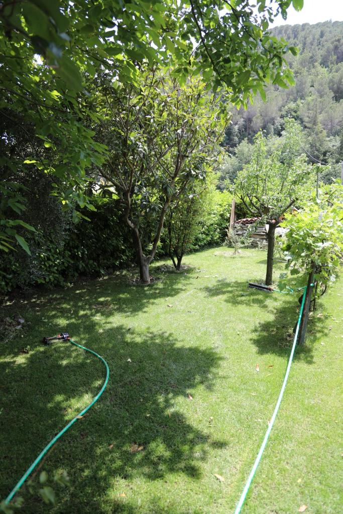 Cozy villa with garden photo 3