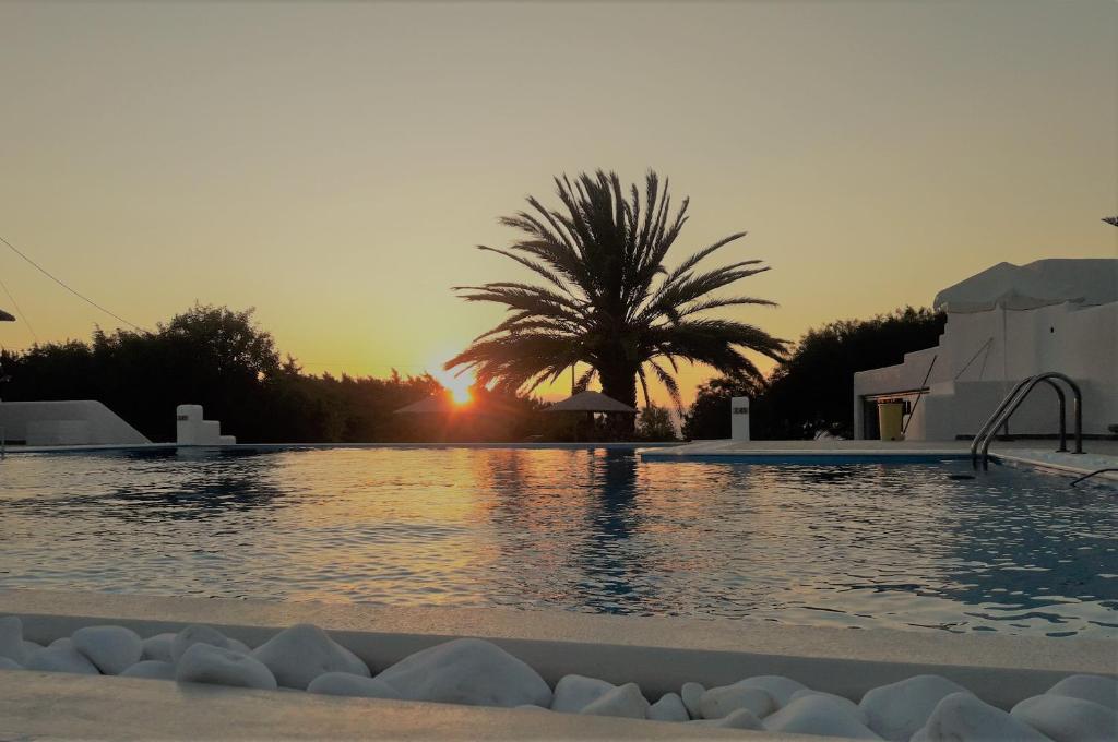 Villa Faros photo 3