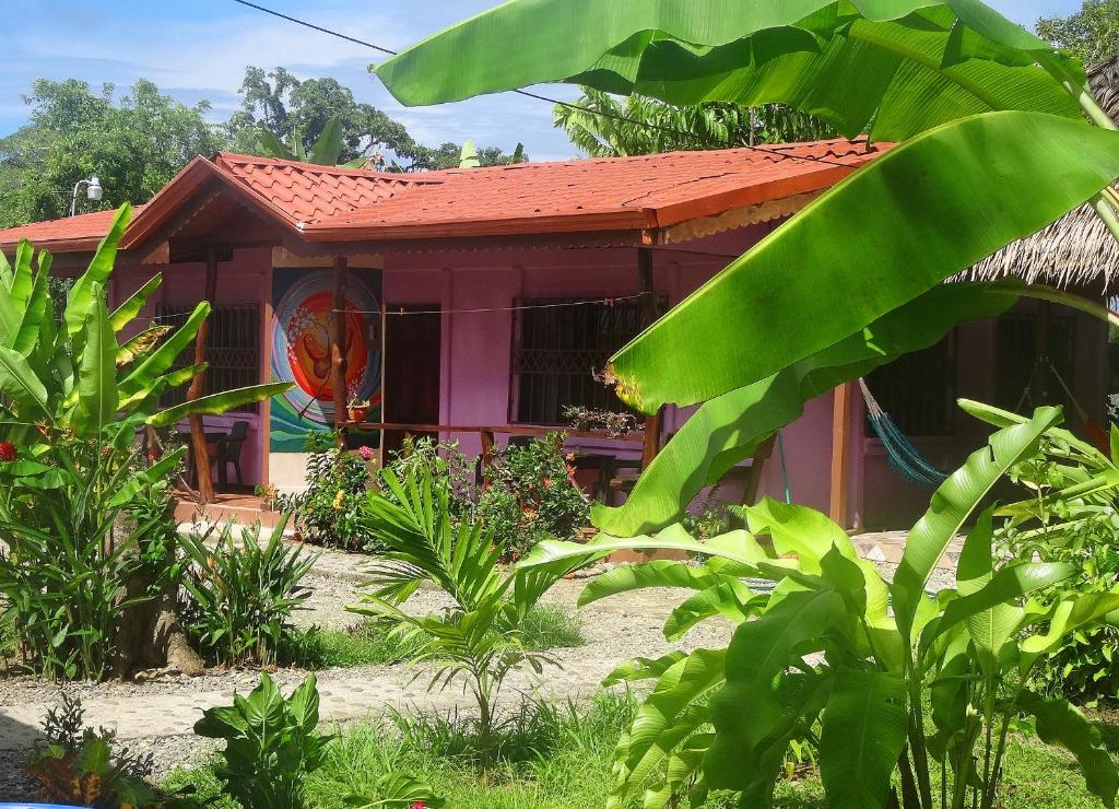 Casa Alegra photo 3