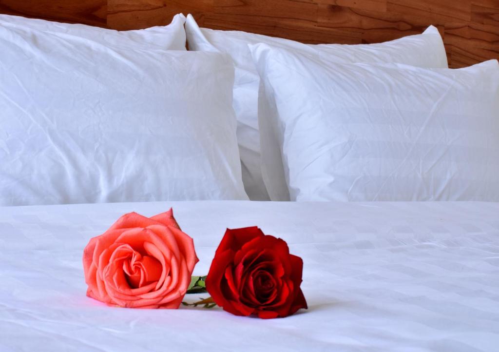 Danang Beach Homestay