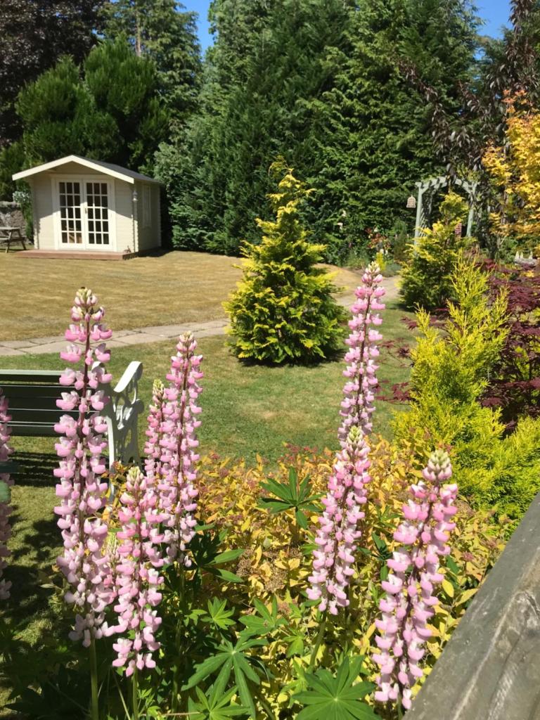 Westwood Cottage photo 4