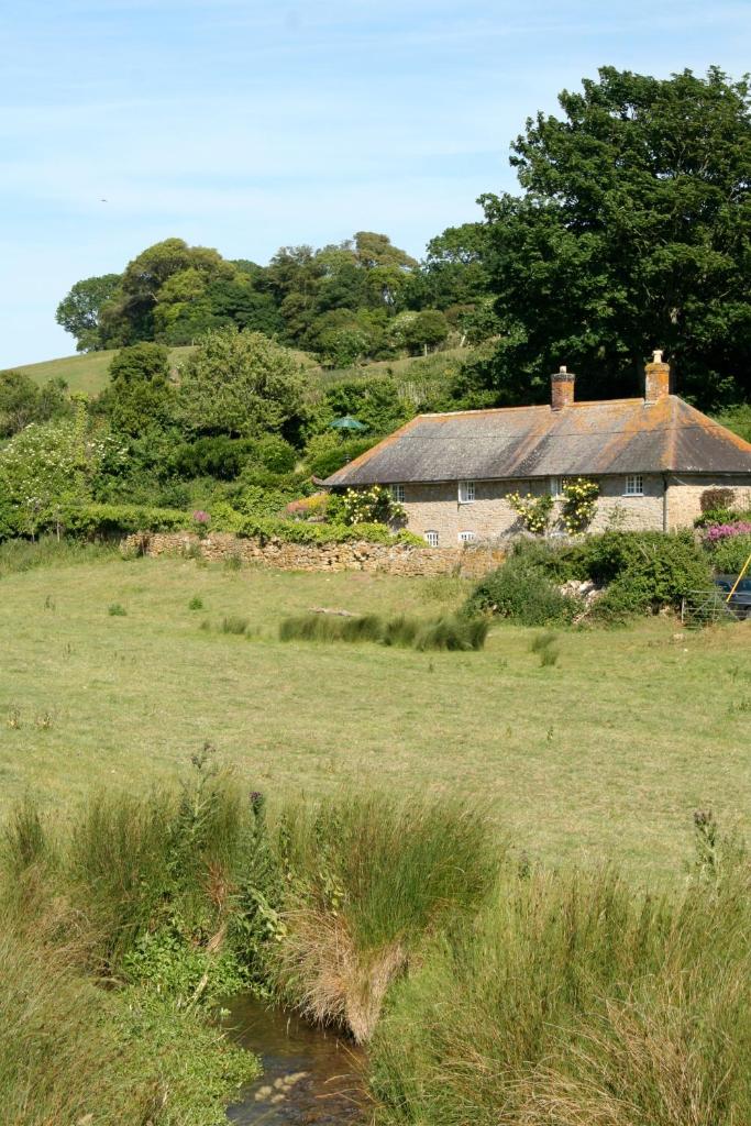 The Cottage Abbotsbury photo 2