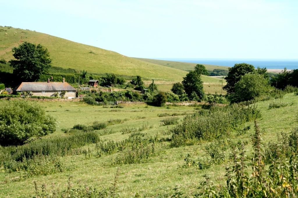 The Cottage Abbotsbury photo 3