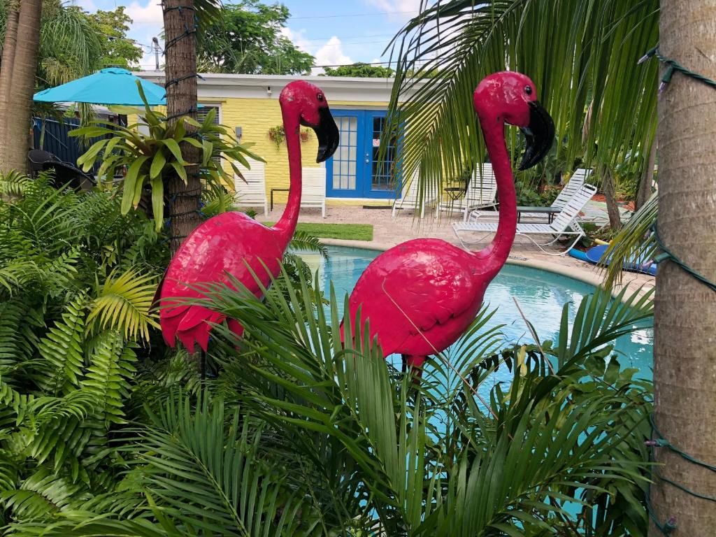 Calypso Inn Wilton Gay Male Resort image