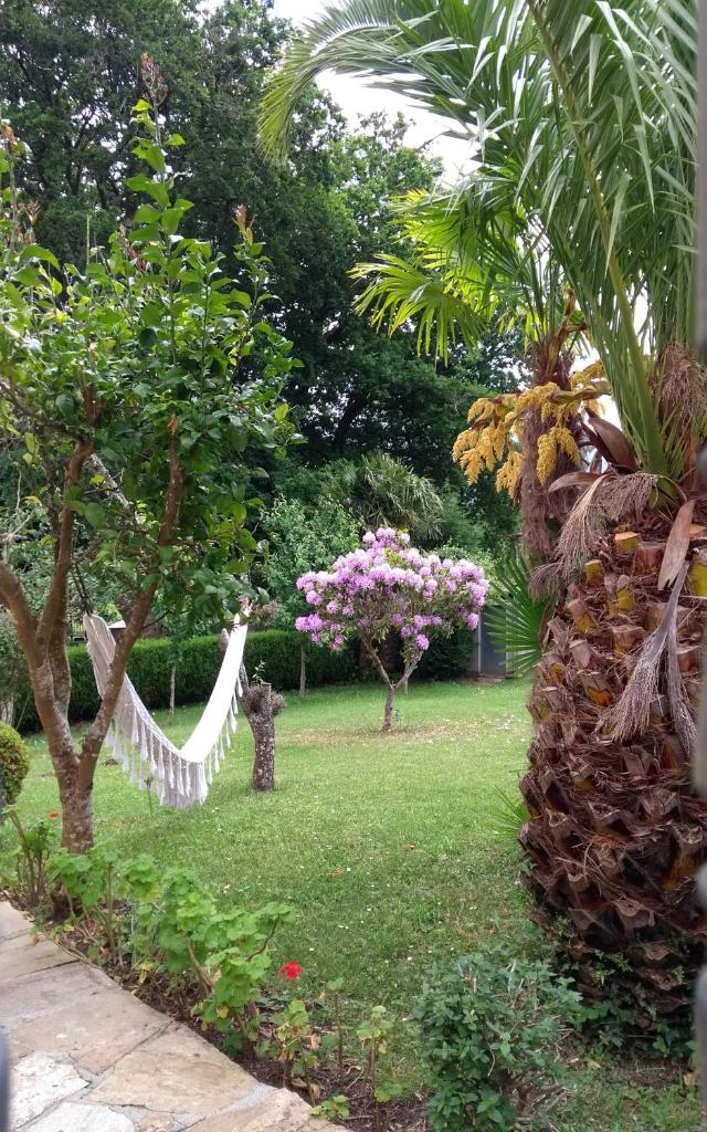 Casa Somoza photo 4