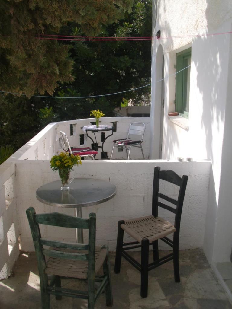Gabriellas Garden photo 3