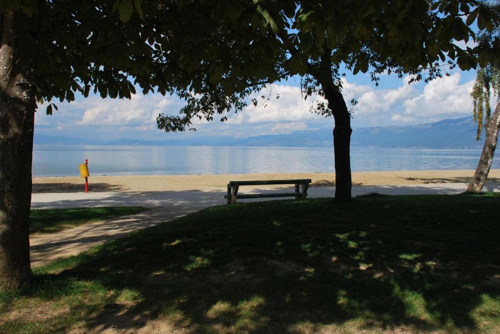 Lake view photo 2