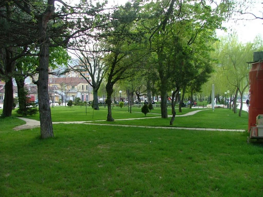 Lake view photo 3