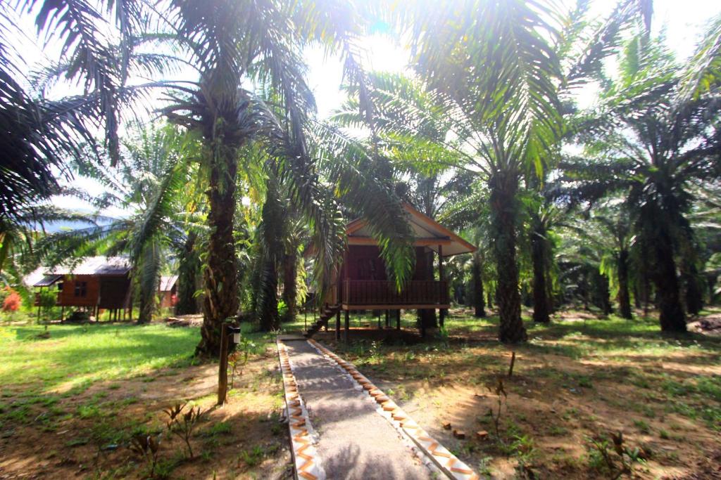 Khao Sok Palmview Resort photo 3