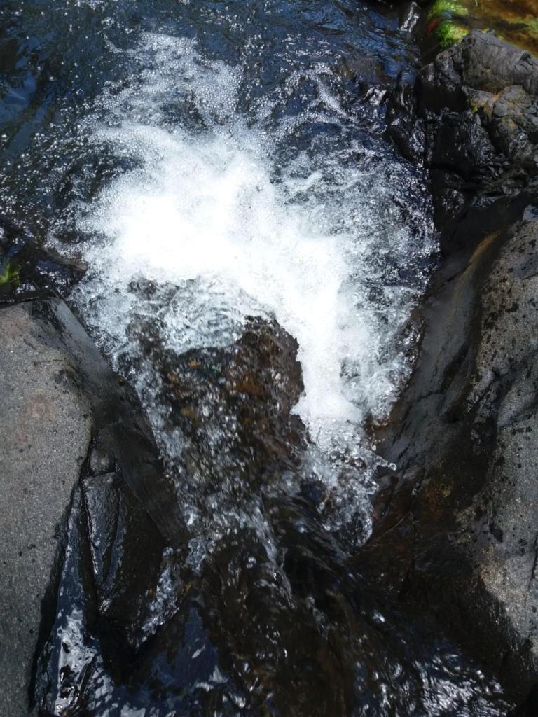 Ti Plèn Kréol photo 2