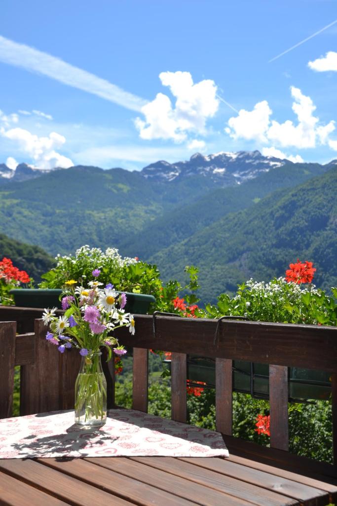 B&B Marcellina photo 3
