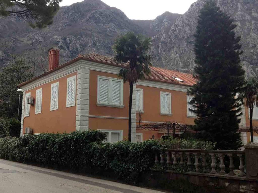 Apartments Vojin photo 1