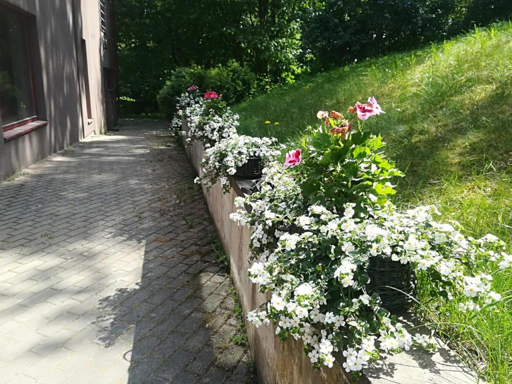 Apartments Melnalkšņi photo 2