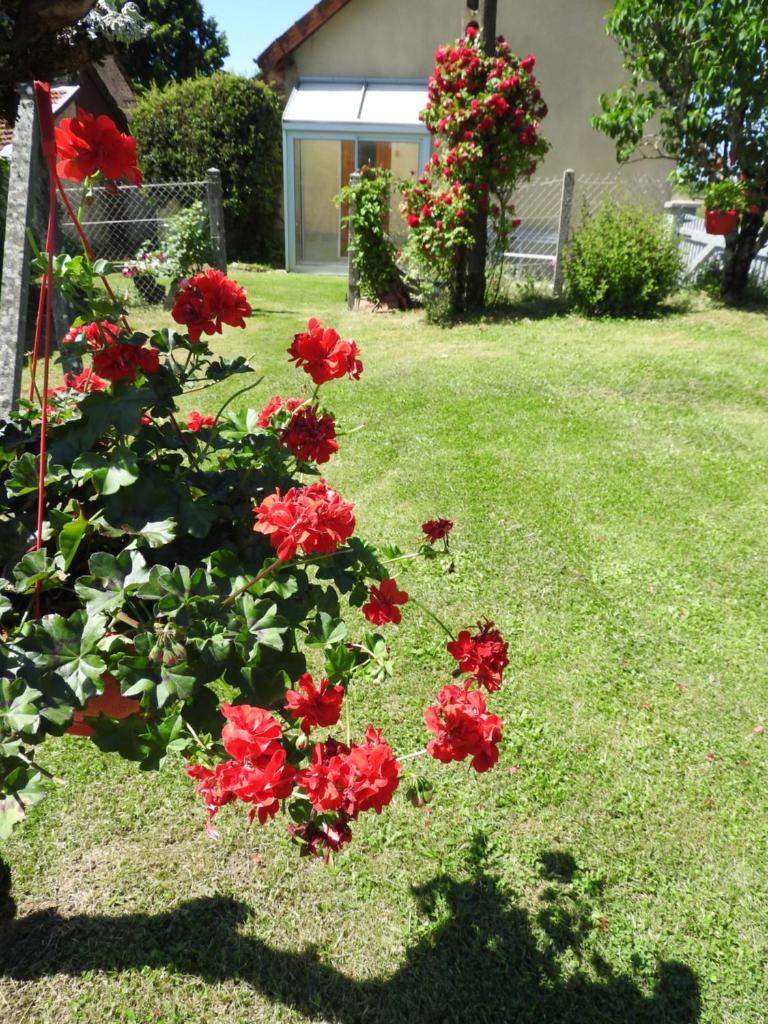 Chez Mamie photo 3